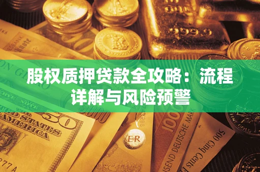 北京股权质押贷款全攻略：流程详解与风险预警