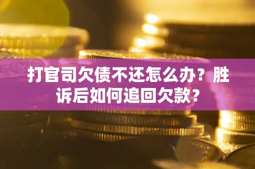 北京打官司欠债不还怎么办？胜诉后如何追回欠款？