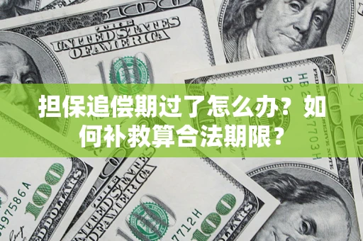 北京担保追偿期过了怎么办？如何补救算合法期限？