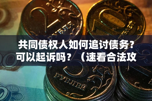 北京共同债权人如何追讨债务？可以起诉吗？（速看合法攻略）