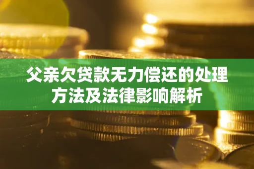 北京父亲欠贷款无力偿还的处理方法及法律影响解析